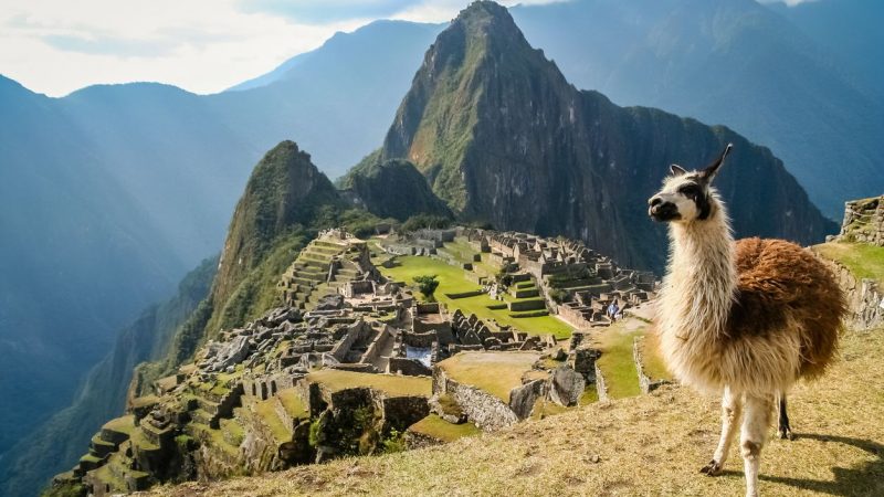 Conquering the Inca Trail: Trekking to Machu Picchu in Peru