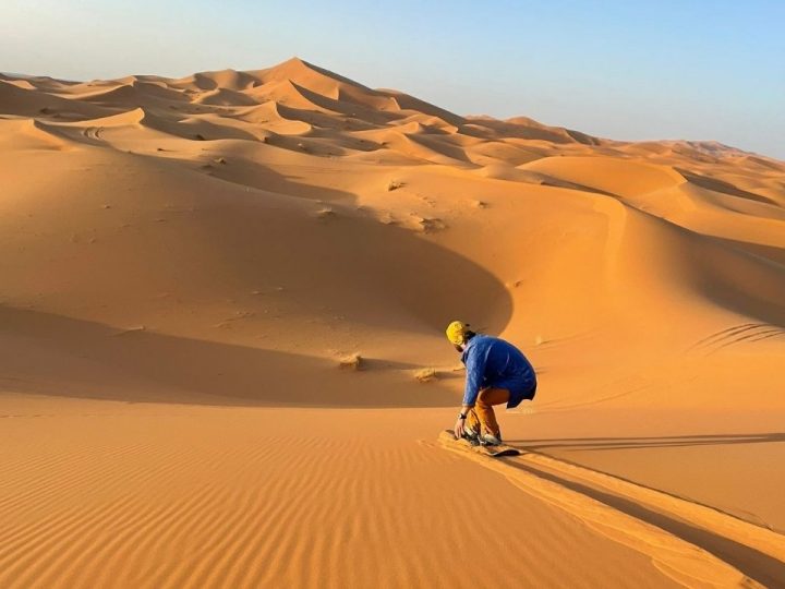 Sandboarding, Camel Trekking, and Stargazing in the Sahara